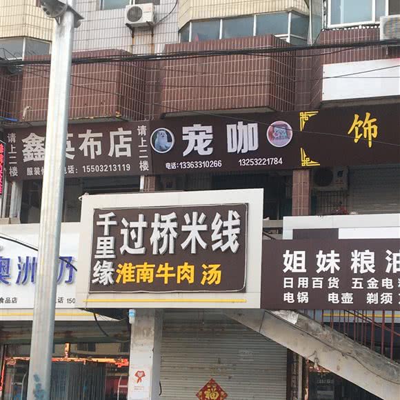 宠咖:衡水市桃城区