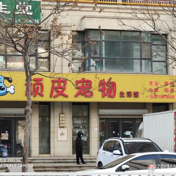 顽皮宠物生活馆:衡水市桃城区