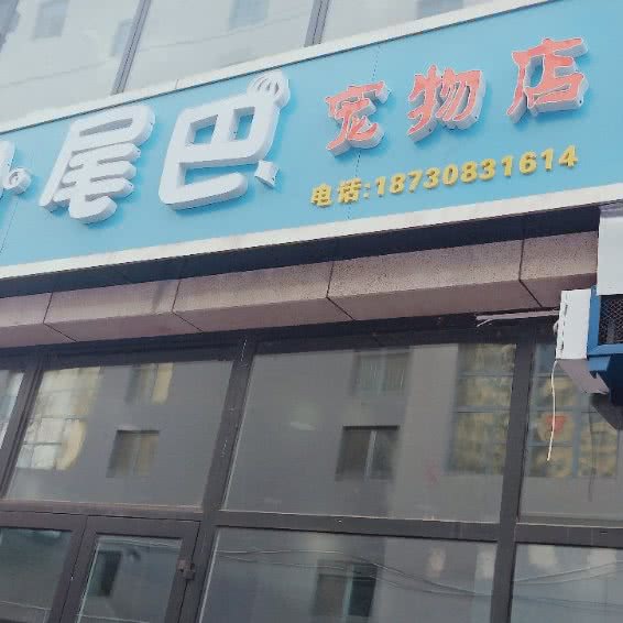 小尾巴宠物店:衡水市桃城区