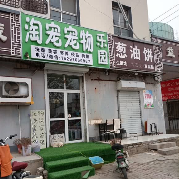 淘宠宠物生活会馆:衡水市桃城区