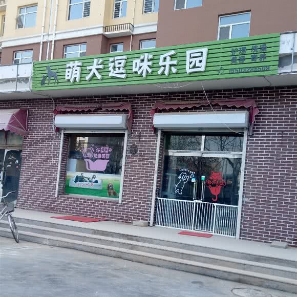 萌犬逗咪乐园:衡水市桃城区