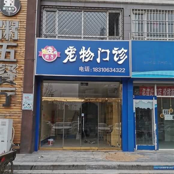 团子宠物门诊:衡水市桃城区