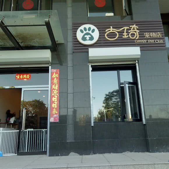 古琦宠物店:张家口市桥西区西坝岗/金鼎附近
