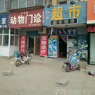 动物门诊:衡水市桃城区