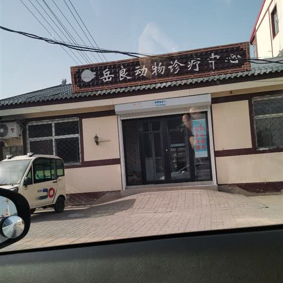 岳良狗狗美容洗澡:衡水市冀州区