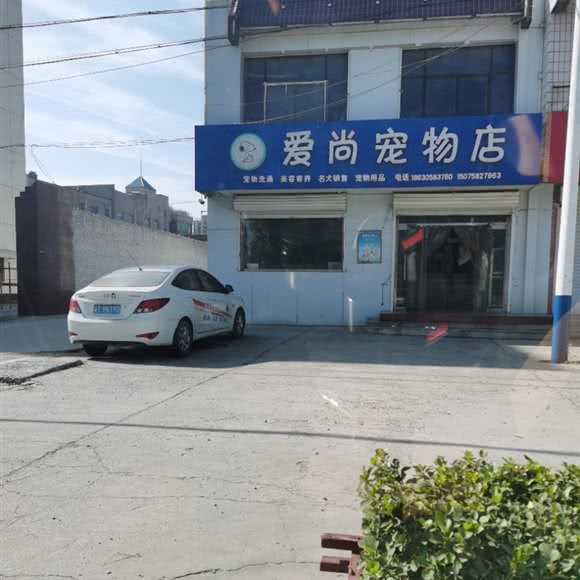 爱尚宠物店:衡水市枣强县