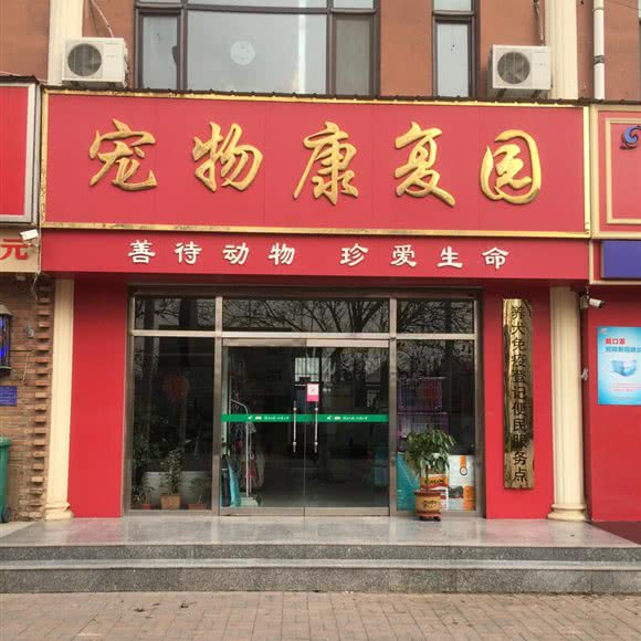 宠物康复园:衡水市枣强县