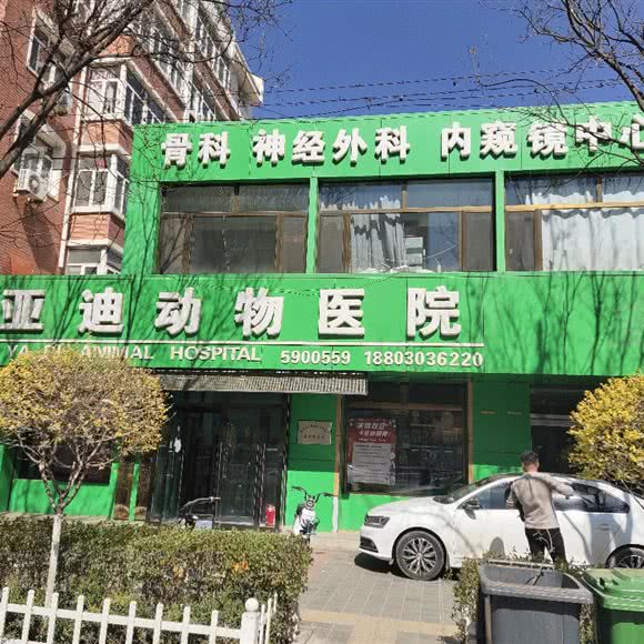 亚迪动物医院:张家口市桥西区西坝岗/金鼎附近