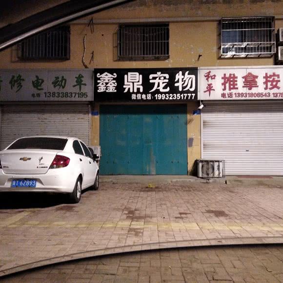 鑫鼎宠物俱乐部:衡水市故城县