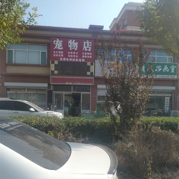 宠物店:衡水市故城县