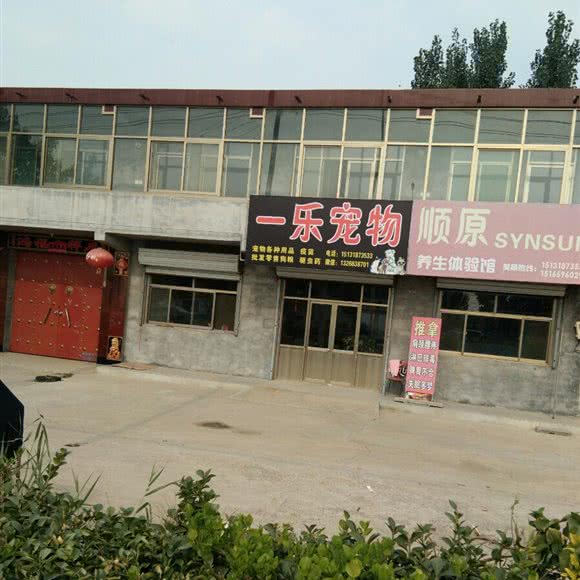 一乐宠物:衡水市故城县