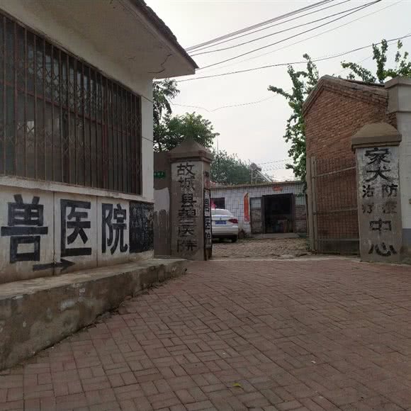 故城县兽医院:衡水市故城县