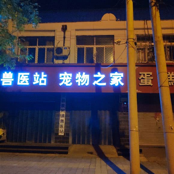 兽医站宠物之家:衡水市景县