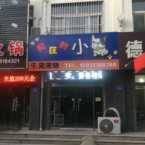 疯狂的小狗乐宠宠物:衡水市景县