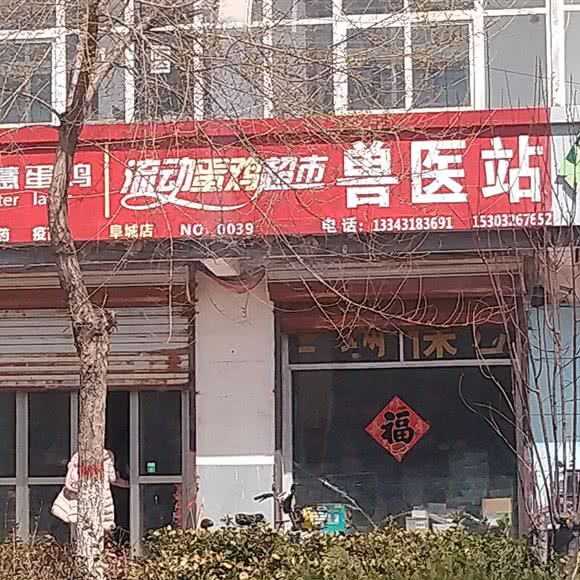 饲料兽医站(NO.0039店):衡水市阜城县