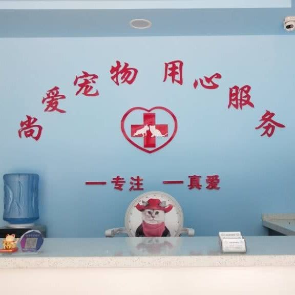 尚爱宠物门诊:衡水市深州市