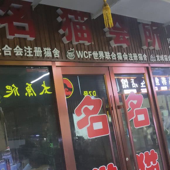 齐猫会所:太原市小店区