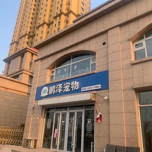 鹏泽宠物:太原市小店区