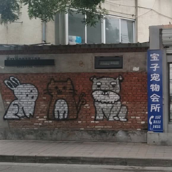 宝子宠物会所:承德市双桥区南营子大街附近