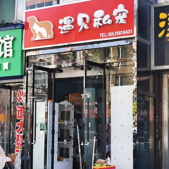 遇见私宠:太原市小店区