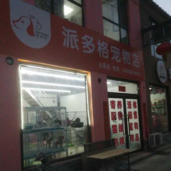 派多格宠物店:太原市小店区