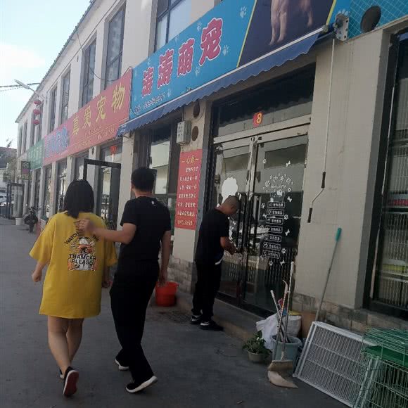 涛涛萌庞:太原市小店区