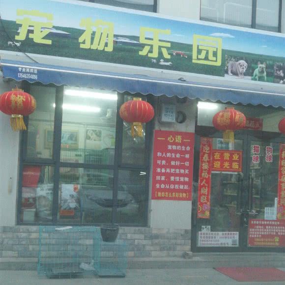 相伴爱犬宠物馆:太原市小店区