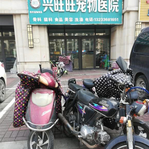 兴旺旺宠物医院:太原市小店区