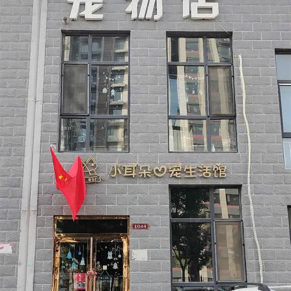 宠物店:太原市迎泽区