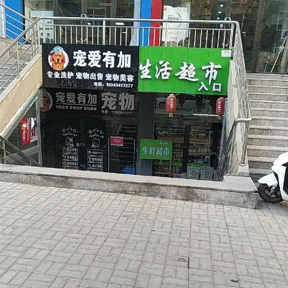 宠爱有加:太原市迎泽区