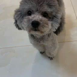 阿8盟宠:太原市杏花岭区