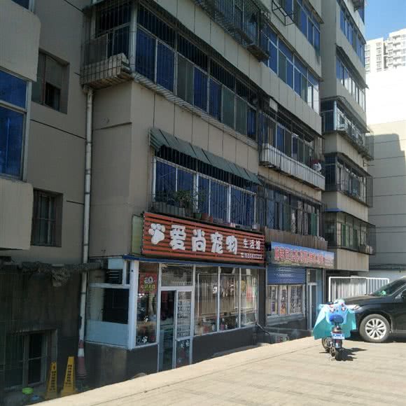 爱尚宠物生活馆:太原市杏花岭区