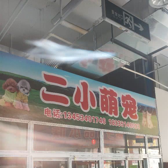 二小萌宠:太原市尖草坪区