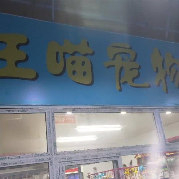 汪喵宠物:太原市尖草坪区