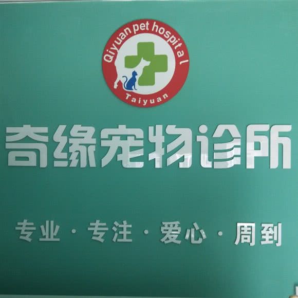 奇缘宠物诊所:太原市尖草坪区