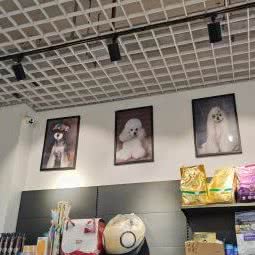 爱尚宠宠物(保利梧桐语店):太原市万柏林区