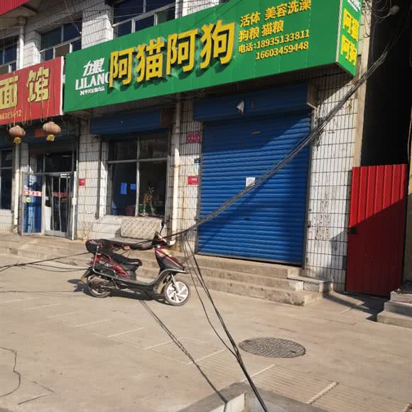 力狼阿猫阿狗:太原市清徐县