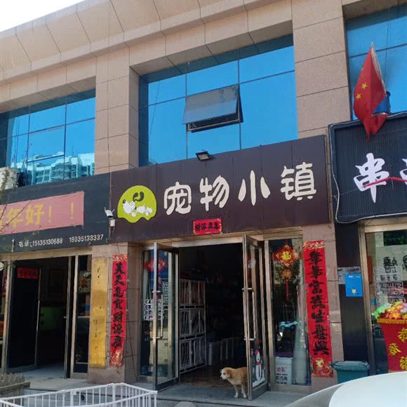 宠物小镇:太原市阳曲县