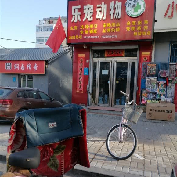 乐宠动物诊所(商贸街店):太原市阳曲县