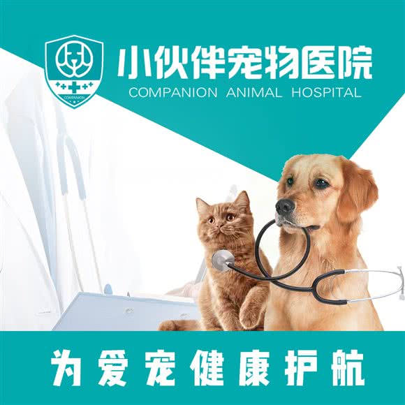 太原小伙伴宠物医院(古交分院):太原市古交市
