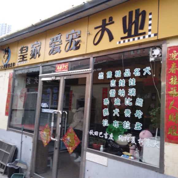 皇家爱宠犬业:大同市平城区