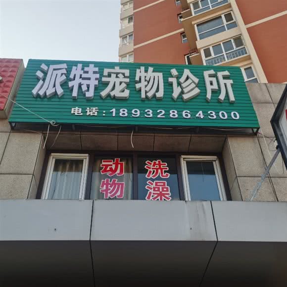 派特动物门诊:承德市双桥区大学城附近