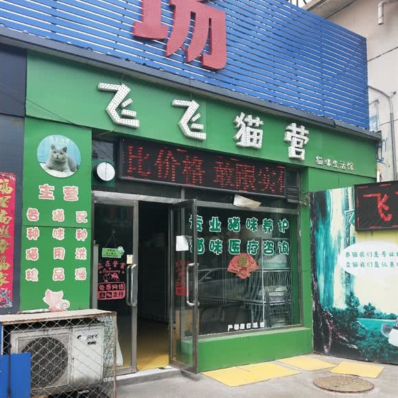 飞飞猫营:大同市平城区
