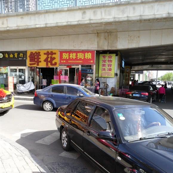 别样狗粮:大同市平城区