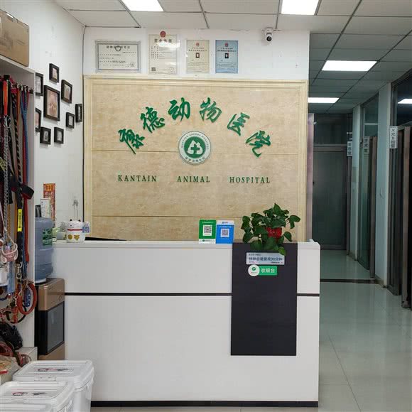 康德动物医院:大同市平城区