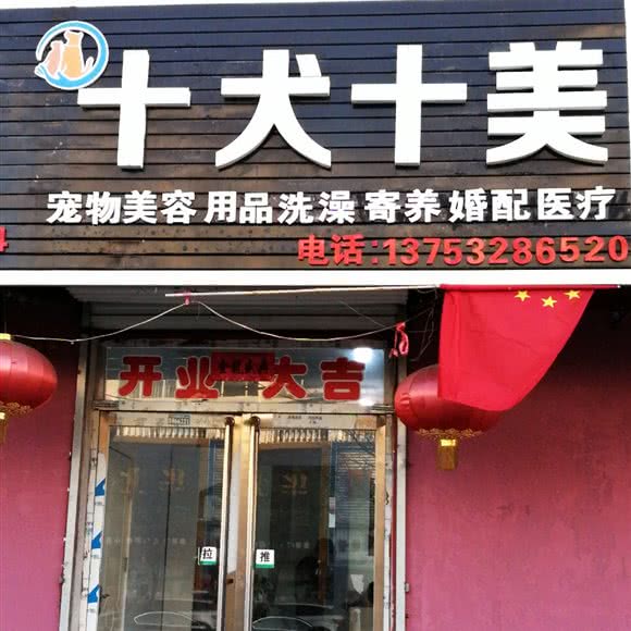 二十五犬十美:大同市云冈区