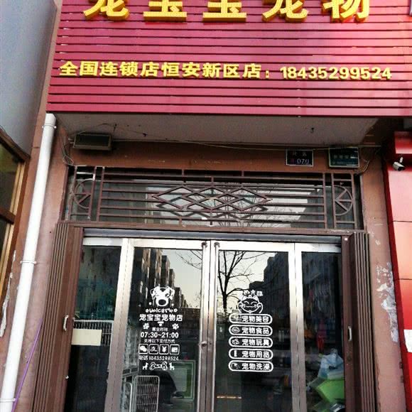 宠宝宝宠物(恒安新区店):大同市云冈区