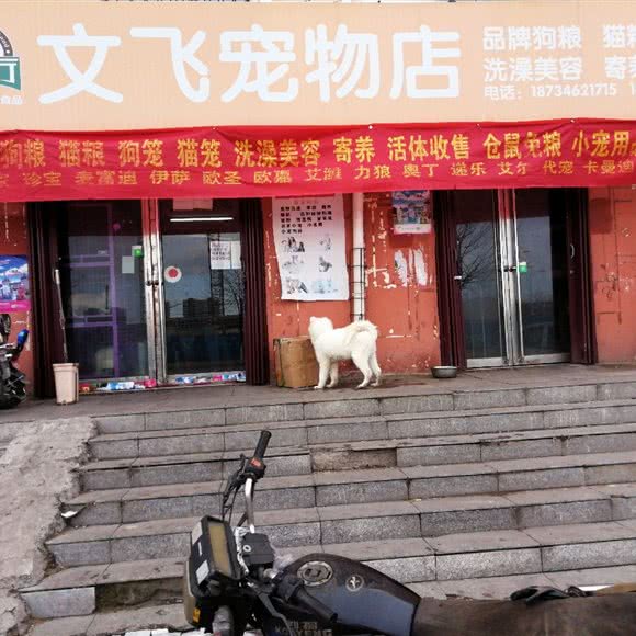 文飞宠物店:大同市云冈区