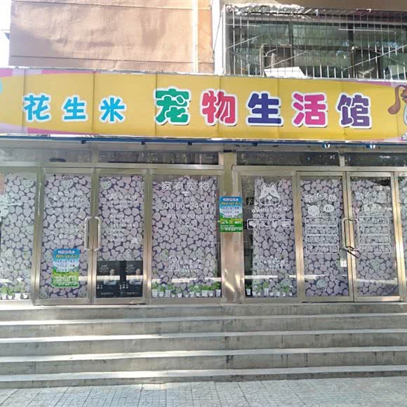 花生米宠物生活馆:大同市云冈区