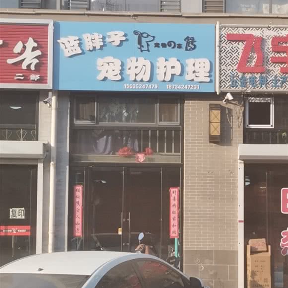 蓝胖子宠物护理:大同市浑源县